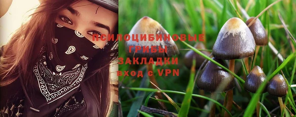 кокаин премиум Сосновка