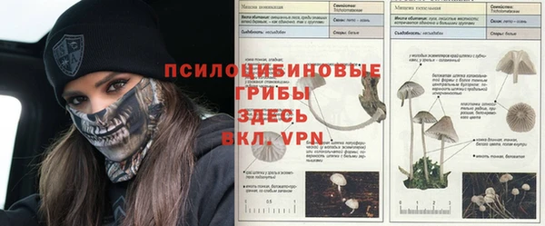 COCAINE Бронницы