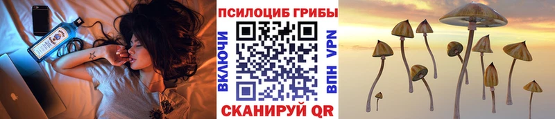 Галлюциногенные грибы прущие грибы  Томари 